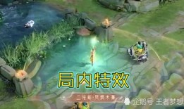 瑶新皮肤最新爆料5月,瑶族风情与时尚潮流的完美融合