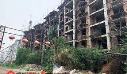 石家庄工地爆料案件最新,真相与争议交织的施工现场风云