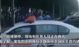 唐山警察爆料案件最新,最新案件背后惊人真相