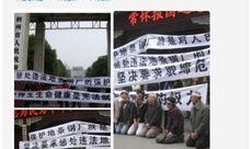 荆州爆料最新消息今天,揭秘今日重大事件真相！