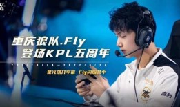 fly最新爆料,揭秘最新科技动态与行业趋势