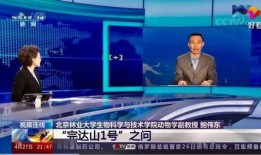 艺兴最新爆料事件新闻报道,揭秘背后真相与影响