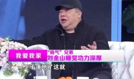 刘金山最新爆料消息今天,揭秘娱乐圈惊人内幕