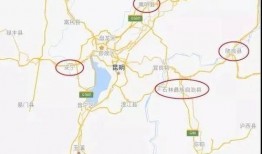 二驴和罗嘉最新的爆料,揭秘娱乐圈幕后真相