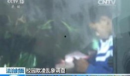 小岩最新爆料,揭秘娱乐圈最新热点事件内幕