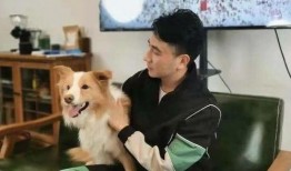 朱小贞妈妈最新爆料视频,揭秘事件背后惊人真相