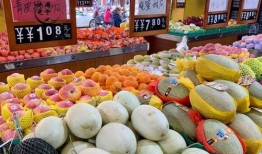 甜瓜游乐场更新最新爆料,神秘新项目即将上线，惊喜连连等你来体验！