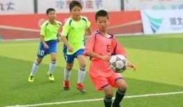 老董足球大爆料最新消息,独家揭秘最新赛事内幕与幕后故事