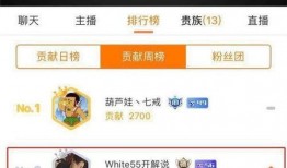 网友爆料最新排名,最新排名出炉，行业风云再起！